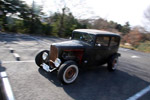 Hot Rod Razzle Dazzle Gallery