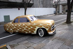 Hot Rod Razzle Dazzle Gallery