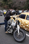 Hot Rod Razzle Dazzle Gallery