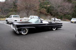 Hot Rod Razzle Dazzle Gallery