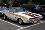 Hot Rod Razzle Dazzle Gallery